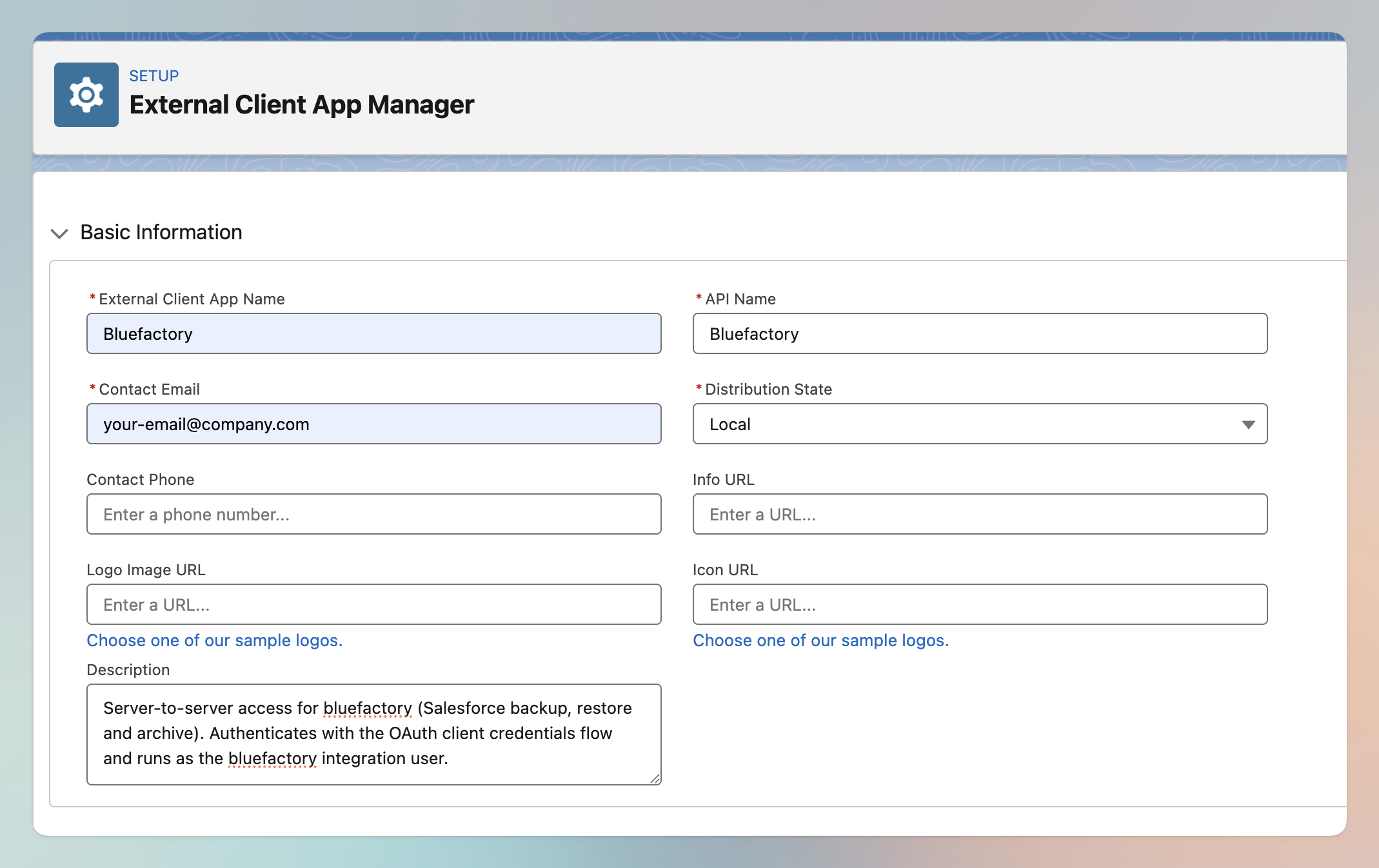 External Client App basic information form filled in for bluefactory