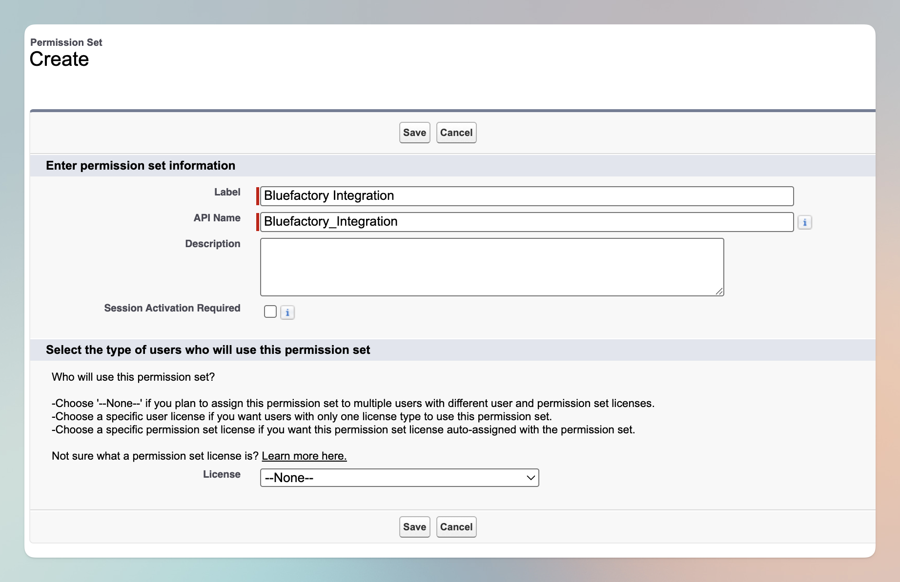 Creating the bluefactory Integration permission set in Salesforce Setup